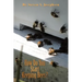 How Do You Start Keeping Bees?