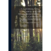 California Well Standards: Water Wells, Monitoring Wells, Cathodic Protection Wells: No.74-90