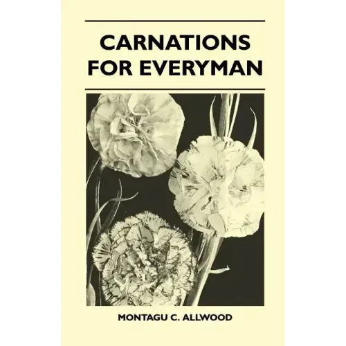 Carnations For Everyman