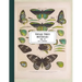 Vintage Prints: Butterflies: Vol. 3