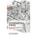 Ponderosa Pines: Days of the Deadwood Forest Fire