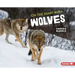 On the Hunt with Wolves