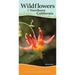 Wildflowers of Northern California: Your Way to Easily Identify Wildflowers