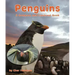 Penguins: A Compare and Contrast Book