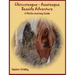 Chincoteague-Assateague Seaside Adventure: A Photo-Journey Guide
