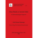 Glass Beads in Ancient India: An Ethnoarchaeological Approach