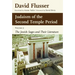 Judaism of the Second Temple Period, Volume 2: The Jewish Sages and Their Literature Volume 2