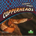 Copperheads