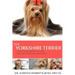 The Yorkshire Terrier: A vet's guide on how to care for your Yorkshire Terrier dog