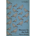 Diseases in the Loft - Pigeon Ailments
