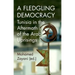 A Fledgling Democracy: Tunisia in the Aftermath of the Arab Uprisings