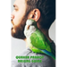 Quaker Parrot Raising Guide: Gift Ideas for Christmas