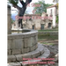 A Taste of Roscigno e Campania II