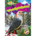 Woodpeckers