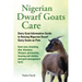 Nigerian Dwarf Goats Care: Dairy Goat Information Guide to Raising Nigerian Dwarf Dairy Goats as Pets