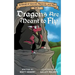 Dragons Are Meant to Fly