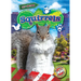 Squirrels