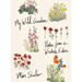My Wild Garden: Notes from a Writer's Eden