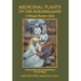 Medicinal Plants of the Borderlands: A Bilingual Resource Guide