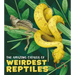 The Amazing Catalog of Weirdest Reptiles