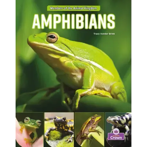 Amphibians