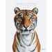 Animal Kingdom: A Collection of Portraits