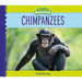 Chimpanzees
