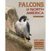 Falcons of North America