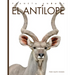 El Antílope