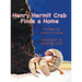 Henry Hermit Crab Finds a Home
