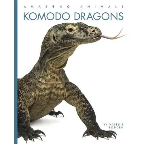 Komodo Dragons