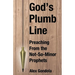 God's Plumb Line: Preaching From the Not-So-Minor Prophets