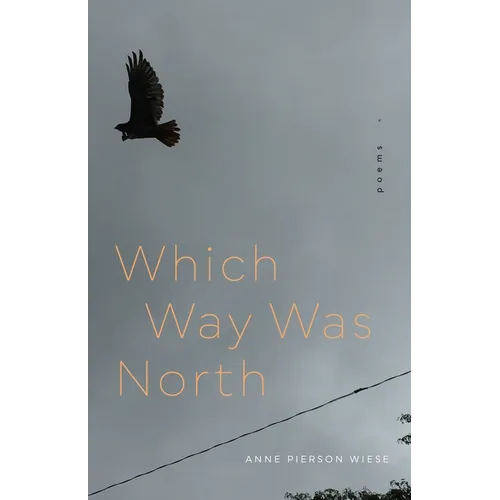 Which Way Was North: Poems