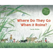 Where Do They Go When It Rains?