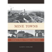 Mine Towns: Buildings for Workers in Michigans Copper Country