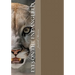 Eyes on the Endangered
