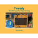 Tweedy: The Little Amp Who Found His Song