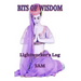 Bits of Wisdom: Lightworker's Log