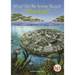 What Do We Know about Atlantis?