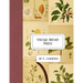Vintage Botany Prints