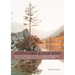 Cultivating a Calm Mind: How to reduce stress and anxiety, manage your thoughts and emotions and live a calmer life