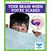 Your Brain When You're Scared