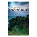 Waverly: Historical Novel