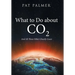 What to Do About Co2: And All Those Other Ghastly Gases