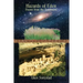 Hazards: Poems from the Southwest