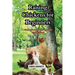 Raising Chicken for Beginners: From Coop Design to Egg Collecting