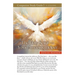 The Holy Spirit - Your Amazing Helper Study Guide
