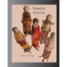 Pamela's Patterns