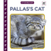 Pallas's Cat