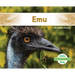 Emu